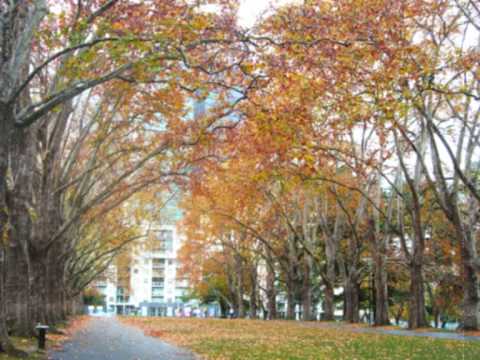 Hãy yêu như chưa yêu lần nào (Ý Lan)