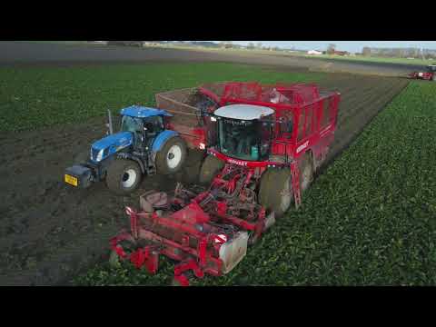 3x Vervaet Harvesting sugar beets - Loonbedrijf Focquaert - New holland t7