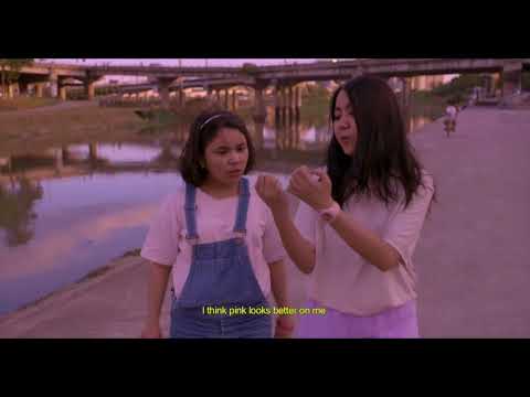 The Aesthetics of Puppy Love Video Essay