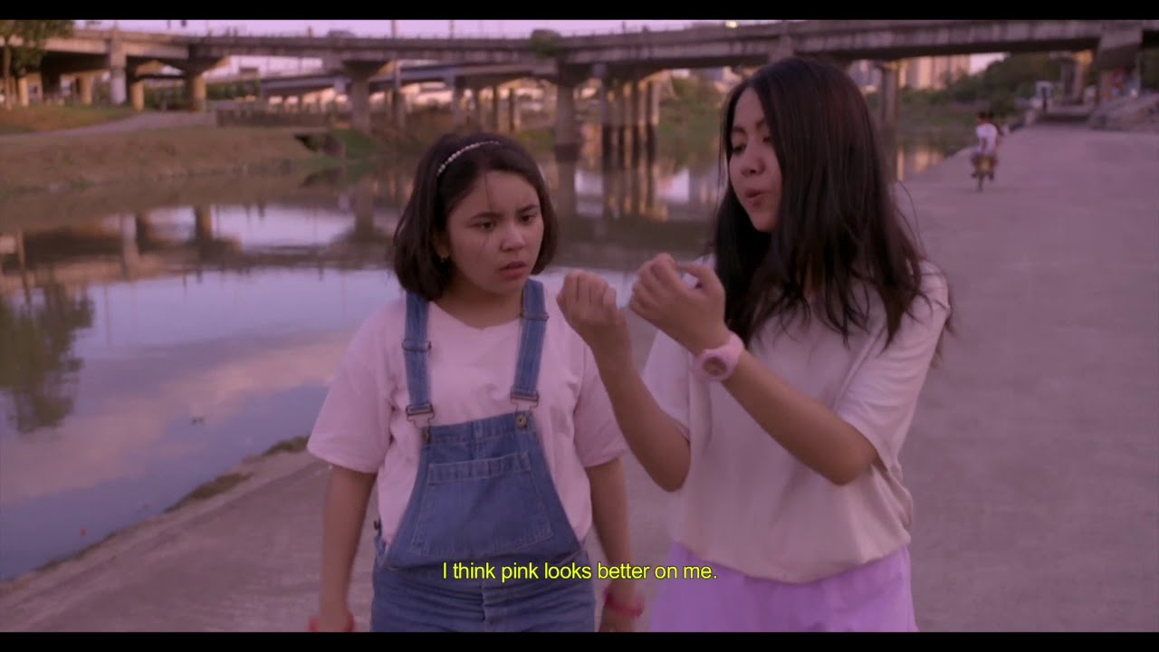 The Aesthetics of Puppy Love Video Essay