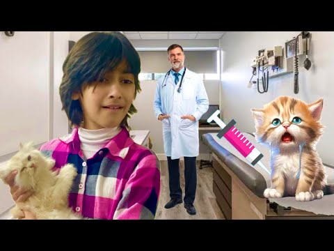 Meri Cat Ko Injection lag gaia 🐈😫 || New Vlog || Entertainment