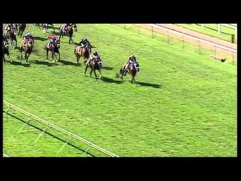 Clairwood 20082013 Race 3