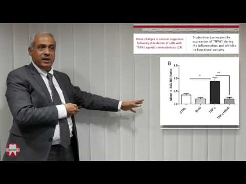 Biodentine decreases pain - Pr. Imad About