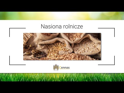 Zobacz filmy, Cennas sp. z o.o., Grajewo