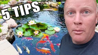 5 Tips for Water Lilies: How to Place Them in a Pond
