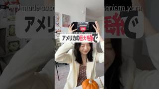 お寿司セットを編みました🍣