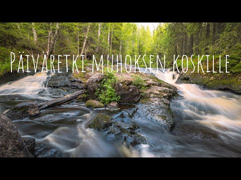 Päiväretki Muhoksen koskille