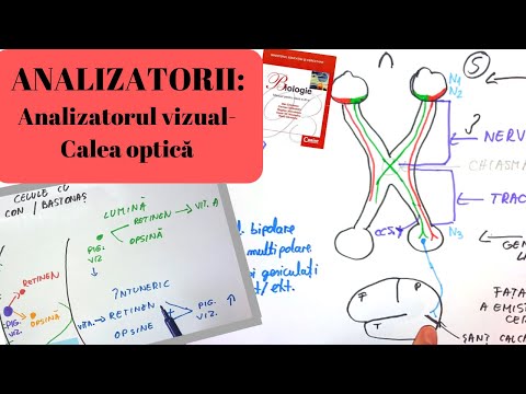 Cum să păstrezi și să restaurezi viziunea