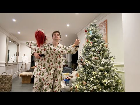 vlogmas day 2 putting the Christmas tree up !