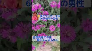 【60代後】孫との時間が増えた小さな習慣 #60代、#健康習慣、#孫