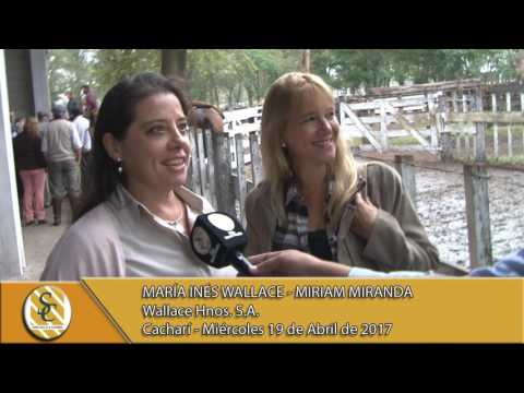 19-04-17 Nota María Inés Wallace y Miriam Miranda  - Wallace Hnos. S.A - Cacharí