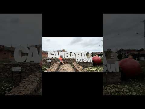 Cidade Cambará do Sul 149/497 #cidadesbrasileiras #riograndedosul #hortensias