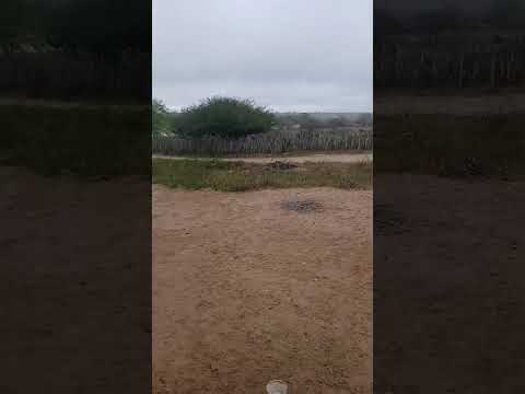 Chuva volta para Olivedos PB