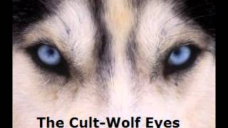 Wolf Eyes Demo-The Cult