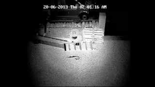 Thief in the night, Caught on CCTV from Kubix i.t., Weston super mare