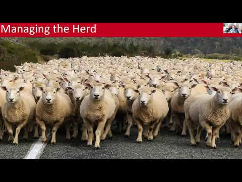 The Five Trends That Will Change Your Database Infrastructure in 2020 and Beyond Matt Yonkovit