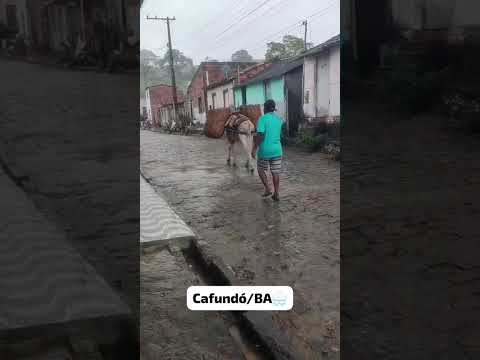 🇧🇷 CHUVA EM CAFUNDÓ, SERRA PRETA,  BAHIA, 17/08/2026