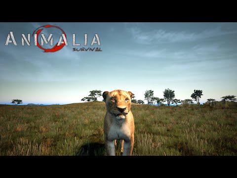 Path to Elder Lioness | Animalia Survival