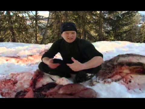 Real Heroes of Telemark - Part 2