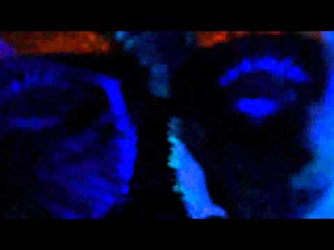 Freak Ballet No Love No Sex