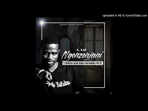 Lui_Ngenzenjani( feat.Mbhuda, Dj MainMAN, Deejay Zebra, King Saiman & Pro-Tee)