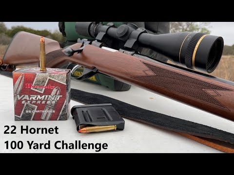 22 Hornet 100 Yard lollipop challenge