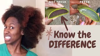 HOW TO KNOW WHEN ALOE VERA GONE BAD | Side by Side Comparisons | Easy Tips | Natural Hair