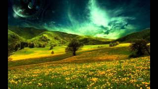 DNTEL - The Dream of Evan and Chan