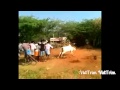 Senkurichi Palani Madu
