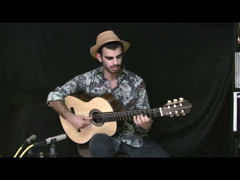 Hummingbird/ Beija Flor (Doug de Vries) performed by Dudi Shaul on Erez Perelman guitar