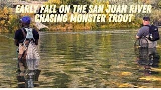 Early Fall on the San Juan River – Chasing Monster Trout #rainbowtrout #flyfishing #newmexico