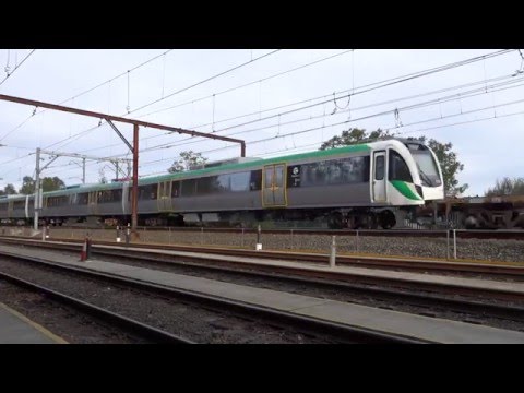 Pacific National's 4NY3 steel with Transperth cars - 18/5/16