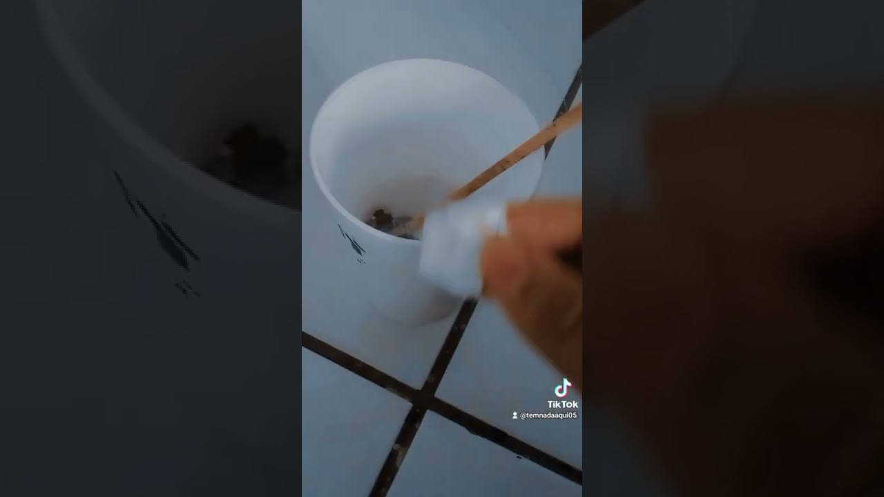 como ser uma fada de verdade 🧚🍁