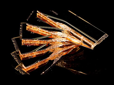 Trident Z5 Royal Series DDR5 Memory Official Trailer