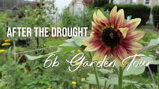 Full Garden Tour + Preserving The Harvest | August 2022 Zone 6b