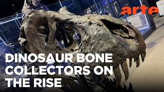 The Dinosaur Fossil Business | ARTE.tv Documentary