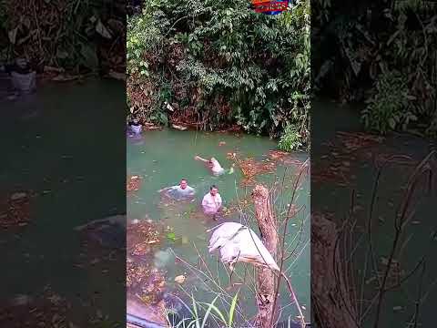 momento de descanso y de río en Huisito municipio de el Tambo Cauca, casi ocasiona una tragedia,