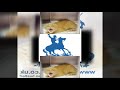 YTPMV Very Angry Cat Scan