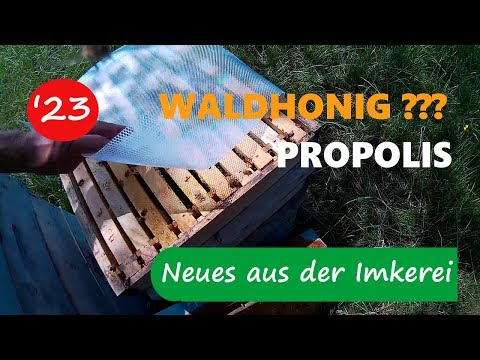 Tank Ernte von Prostata-Saft-Transkript Gebühr, wenn die Prostata