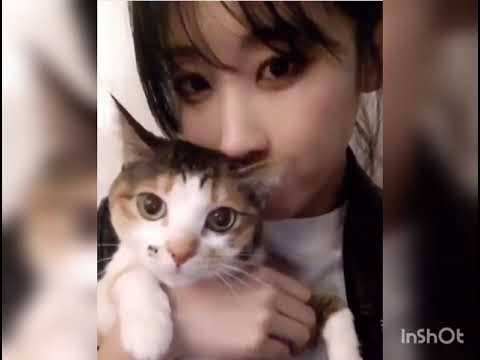 Moon Hyuna Biting her Cat