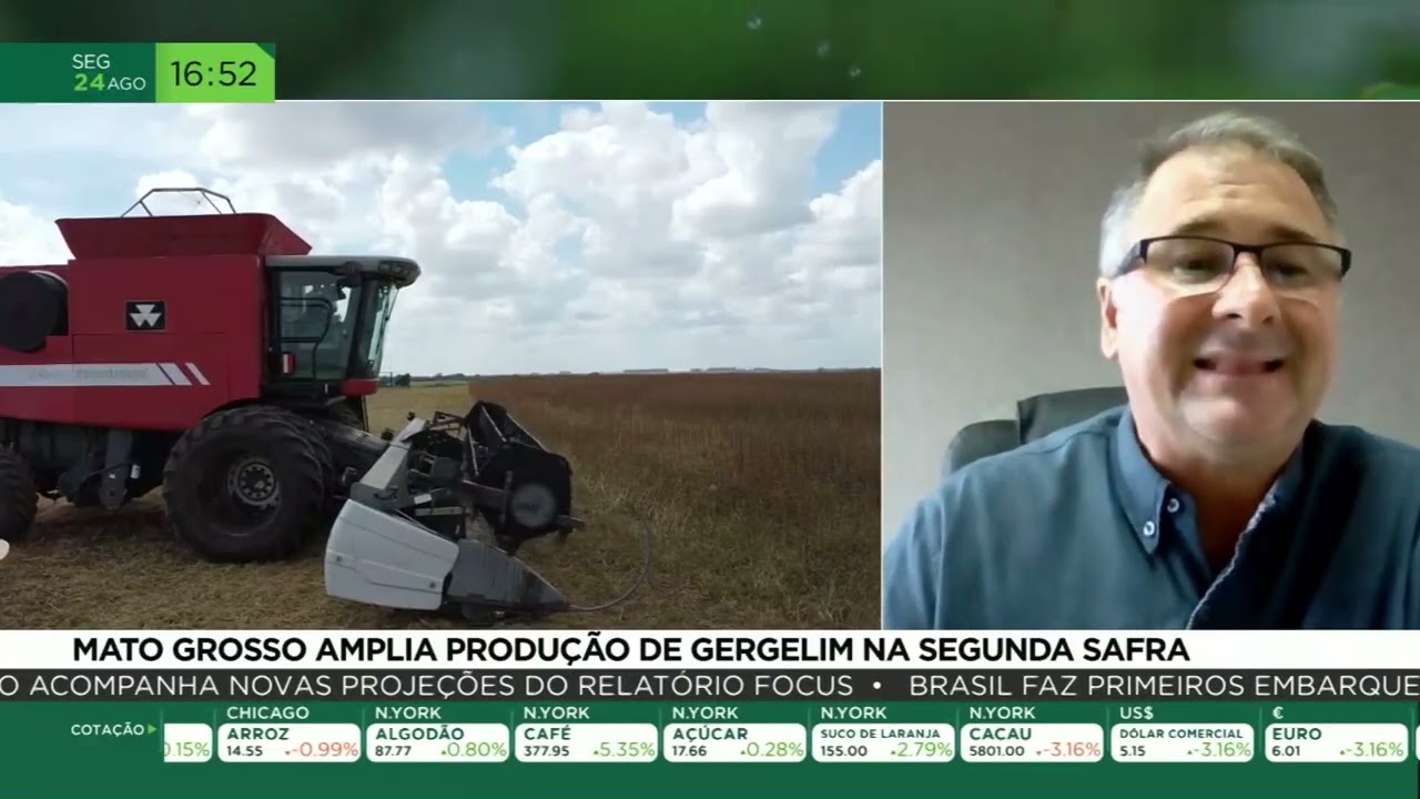 Mato Grosso amplia produção de gergelim na segunda safra