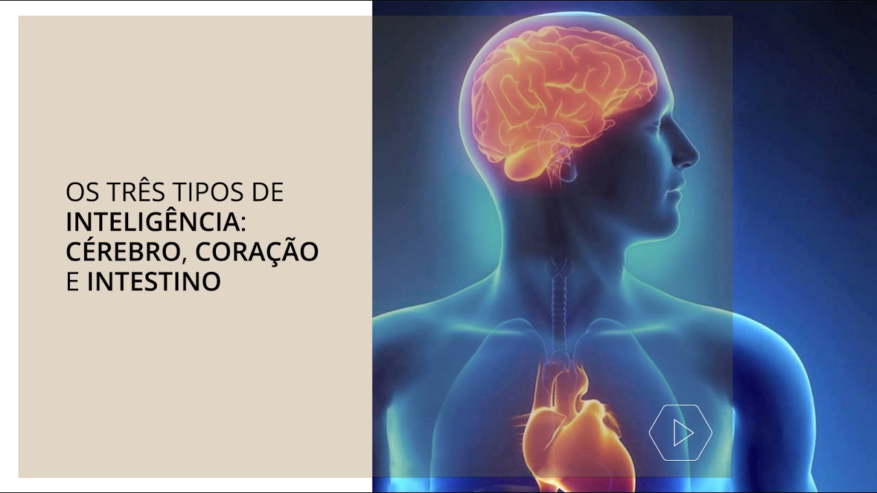 Os três tipos de inteligência: cérebro, coração e intestino