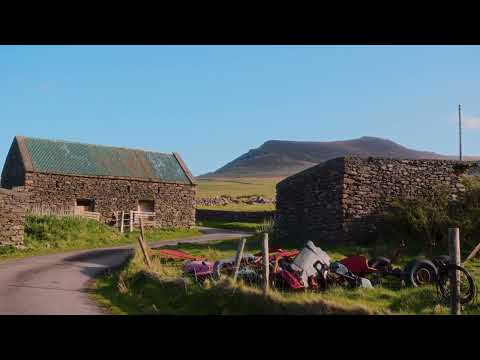 Kingfishr - Next To Me (Official Lyric Video)