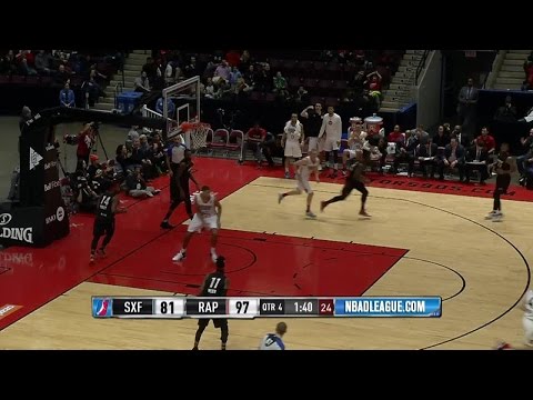 Walter Tavares posts 10 points & 17 rebounds vs. the Skyforce, 12/9/2016