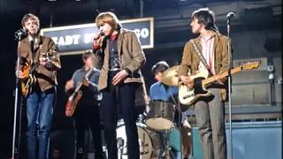 The Yardbirds - Train Kept a Rollin' (1965 Live)
