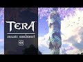 Tera's Calm Music: 1 Hour of Immersive Ambient