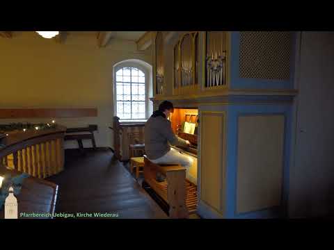 Orgelvorspiel: Licht, das in die Welt gekommen | Baumgarten-Voigt-Orgel Wiederau