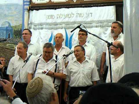 laner velivsamim zimrat haarez