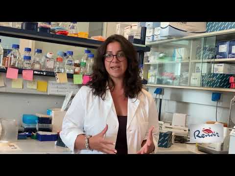 Emilia Skafida - RENOIR Early Stage Researcher