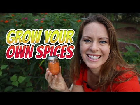 Homegrown Spices! How to harvest and make your own cayenne pepper, paprika, and chili powder